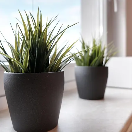 Apartmán Schicke & Helle In *