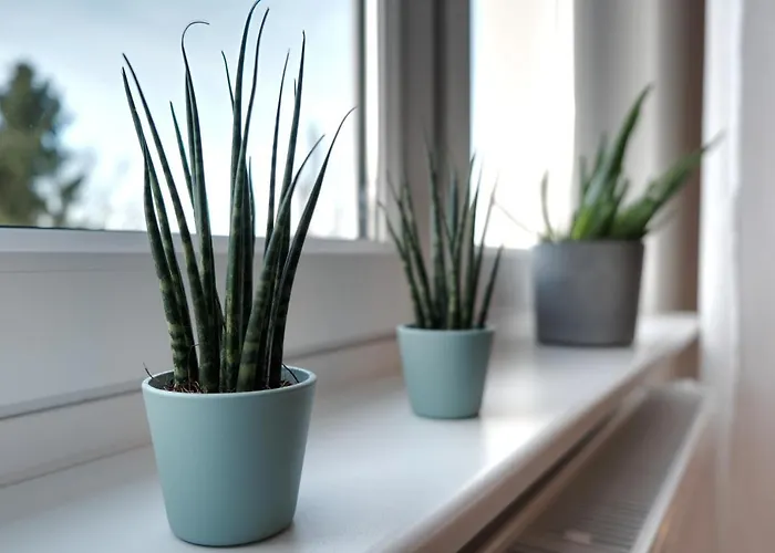 Schicke & Helle In *